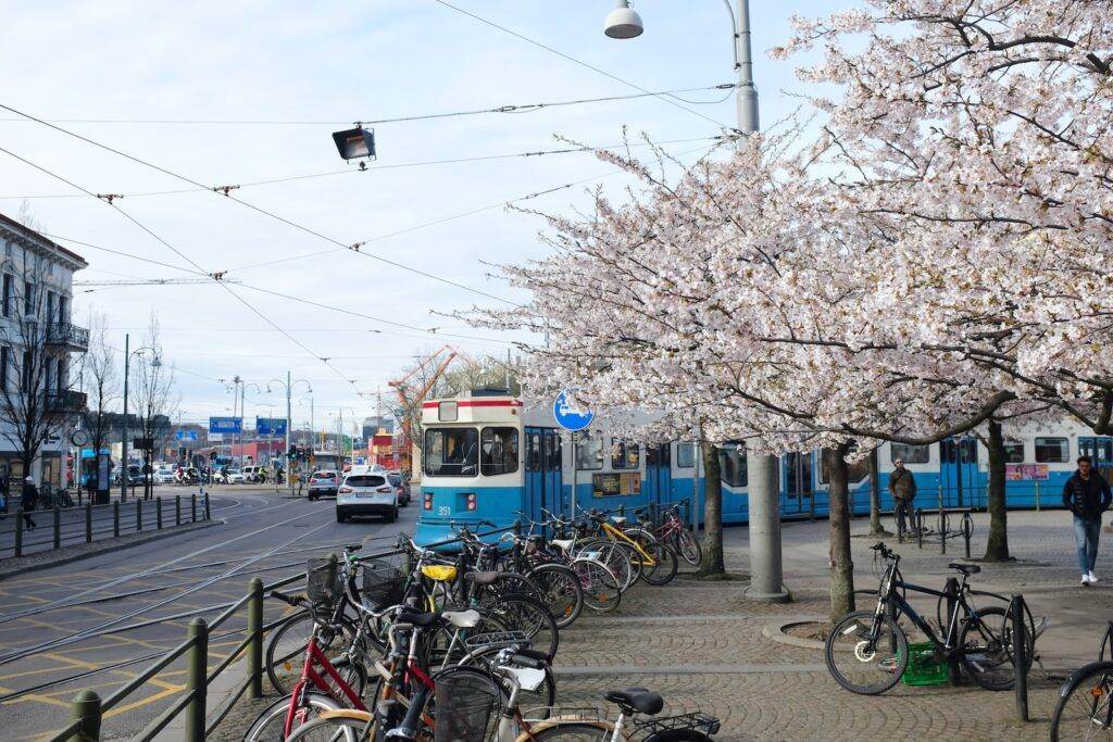 bicycles parked beside blue metal post