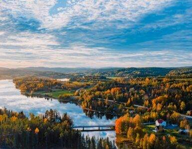 an aerial view of a lake surrounded by trees