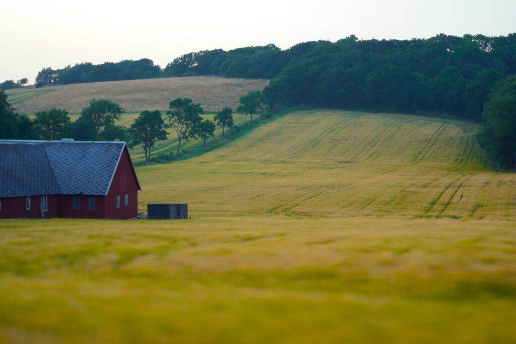 a red barn in a field of grass