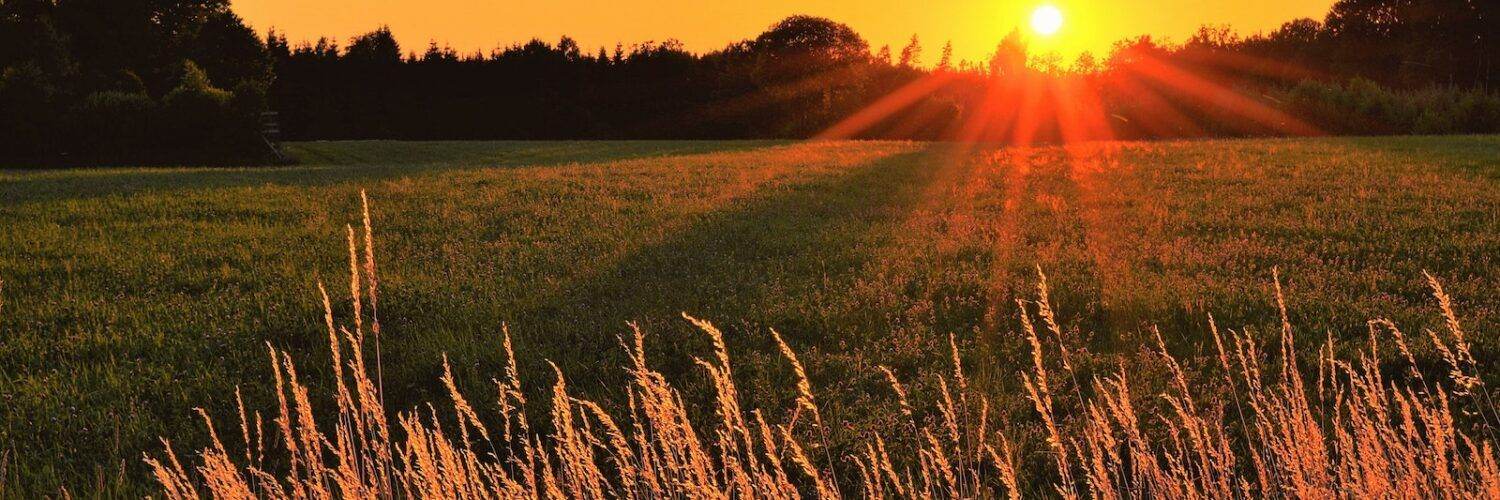 Sunray Across Green Grass Field