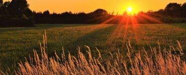 Sunray Across Green Grass Field