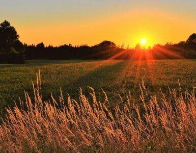 Sunray Across Green Grass Field