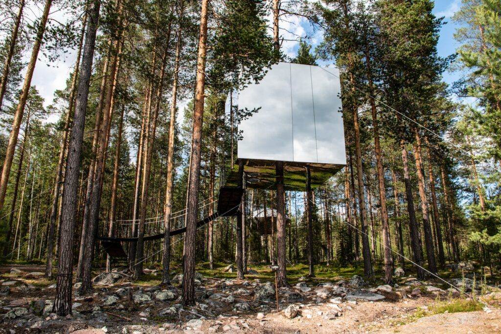 brown wooden house in forest during daytime