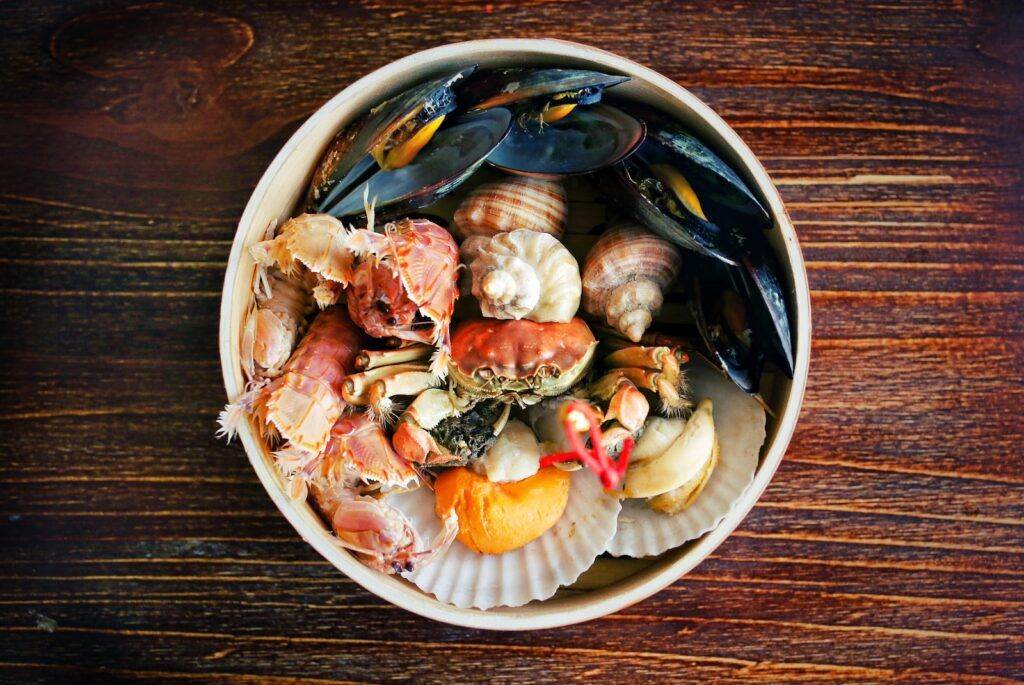 white and brown sea shells in white ceramic bowl