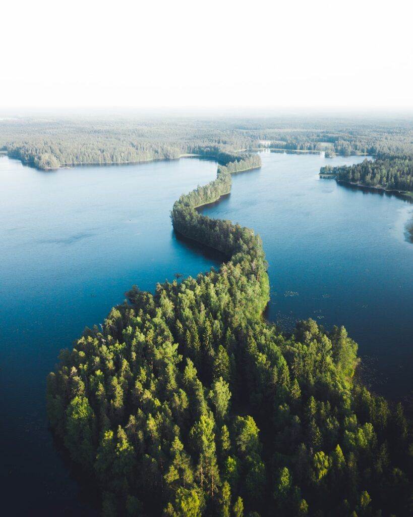 aerial view of green trees near blue sea during daytime