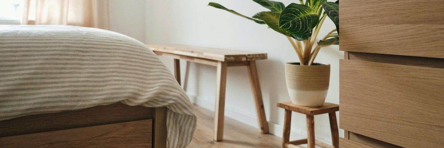 green plant on brown wooden table