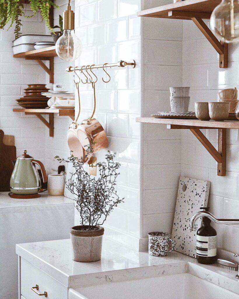 green-leafed plant with gray pot on sink