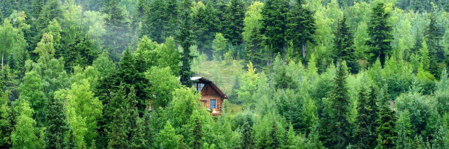 brown wooden house on green forest during daytime