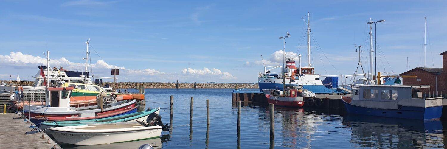 white and blue boat on sea dock during daytime