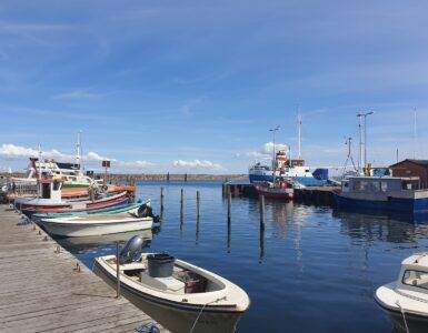 white and blue boat on sea dock during daytime