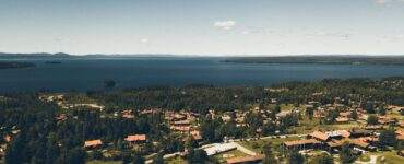 aerial photography of tree and house near sea during daytime