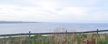 green grass field near sea under white clouds during daytime