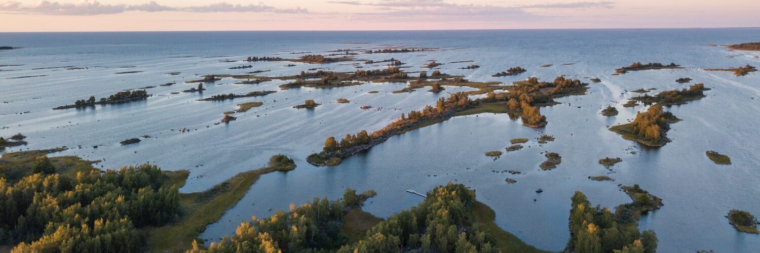 green grass and trees near body of water during daytime